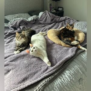 Meet your Posher, Carolyn